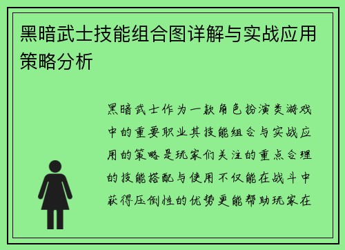 黑暗武士技能组合图详解与实战应用策略分析